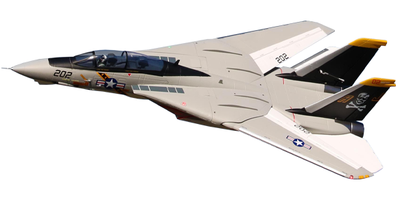 F-14 Tomcat Twin 64mm [Freewing Model]