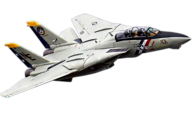 F14 Tomcat [Freewing Model]