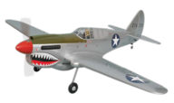 P-40 kitty Hawk  [Phoenix Model]