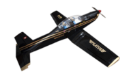 Pilatus PC 9 [Direct Airscale]