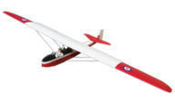 Slingsby T31 Tandem Tutor [Yourself]