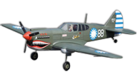 Curtiss P-40 [VQ Model]