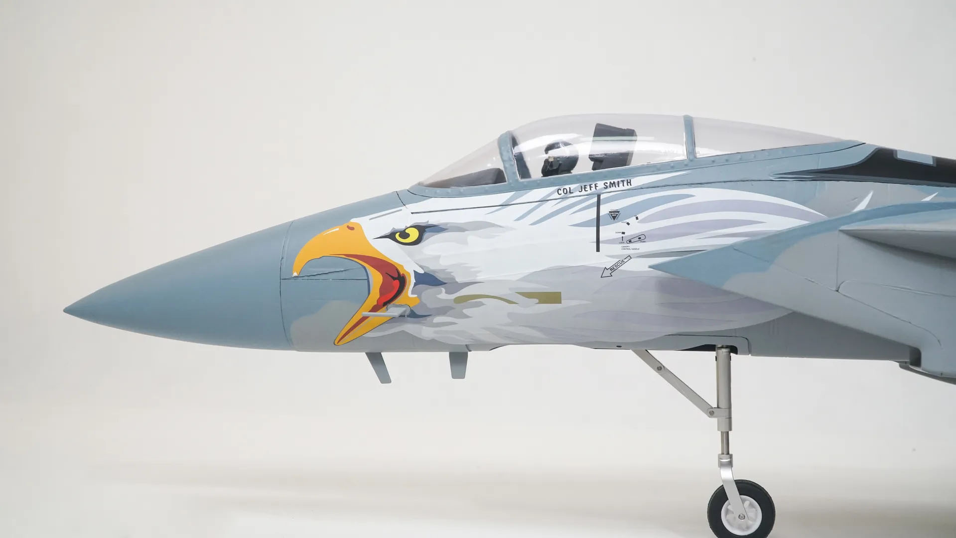 F-15 Eagle Twin 64mm Arrows RC