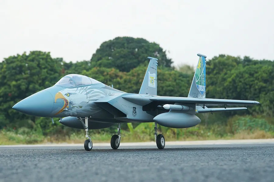 F-15 Eagle Twin 64mm Arrows RC