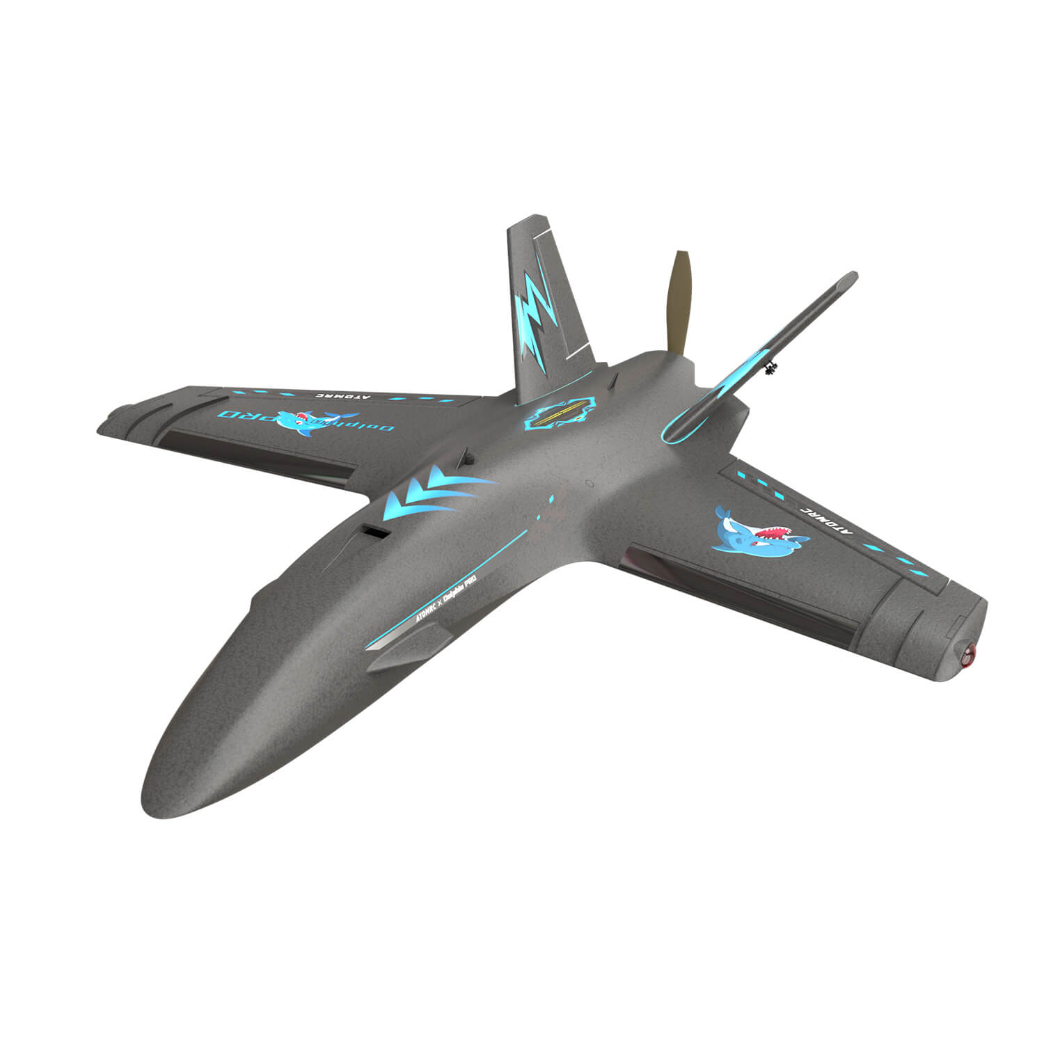 Dolphin Pro AtomRC