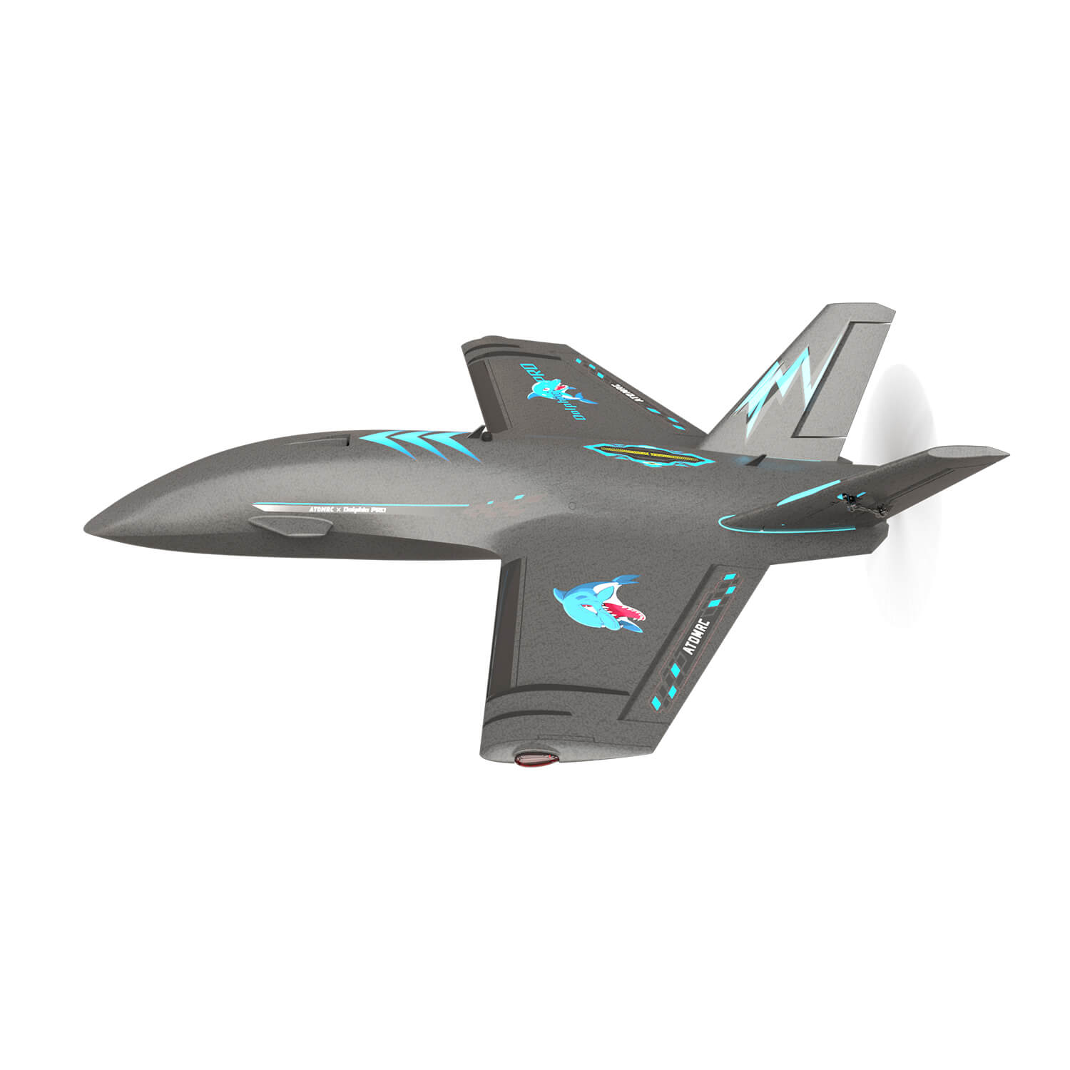 Dolphin Pro AtomRC