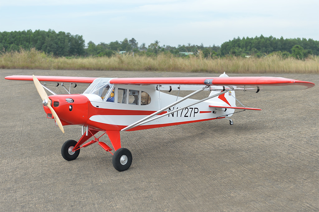 Piper PA-18 Super Cub Black Horse Model