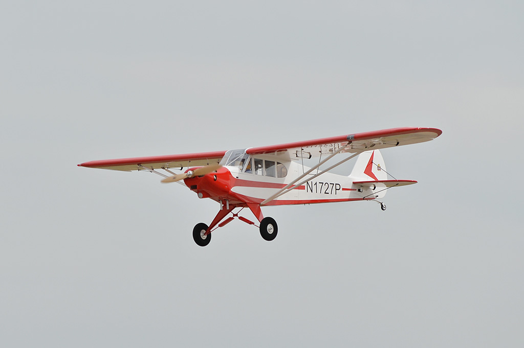 Piper PA-18 Super Cub Black Horse Model