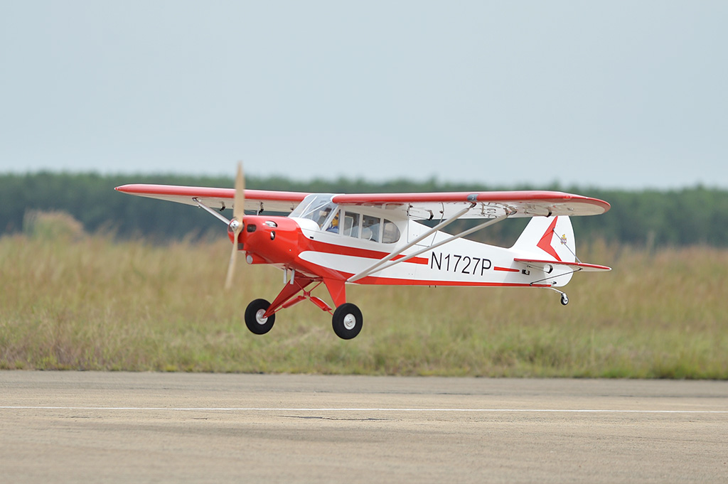 Piper PA-18 Super Cub Black Horse Model