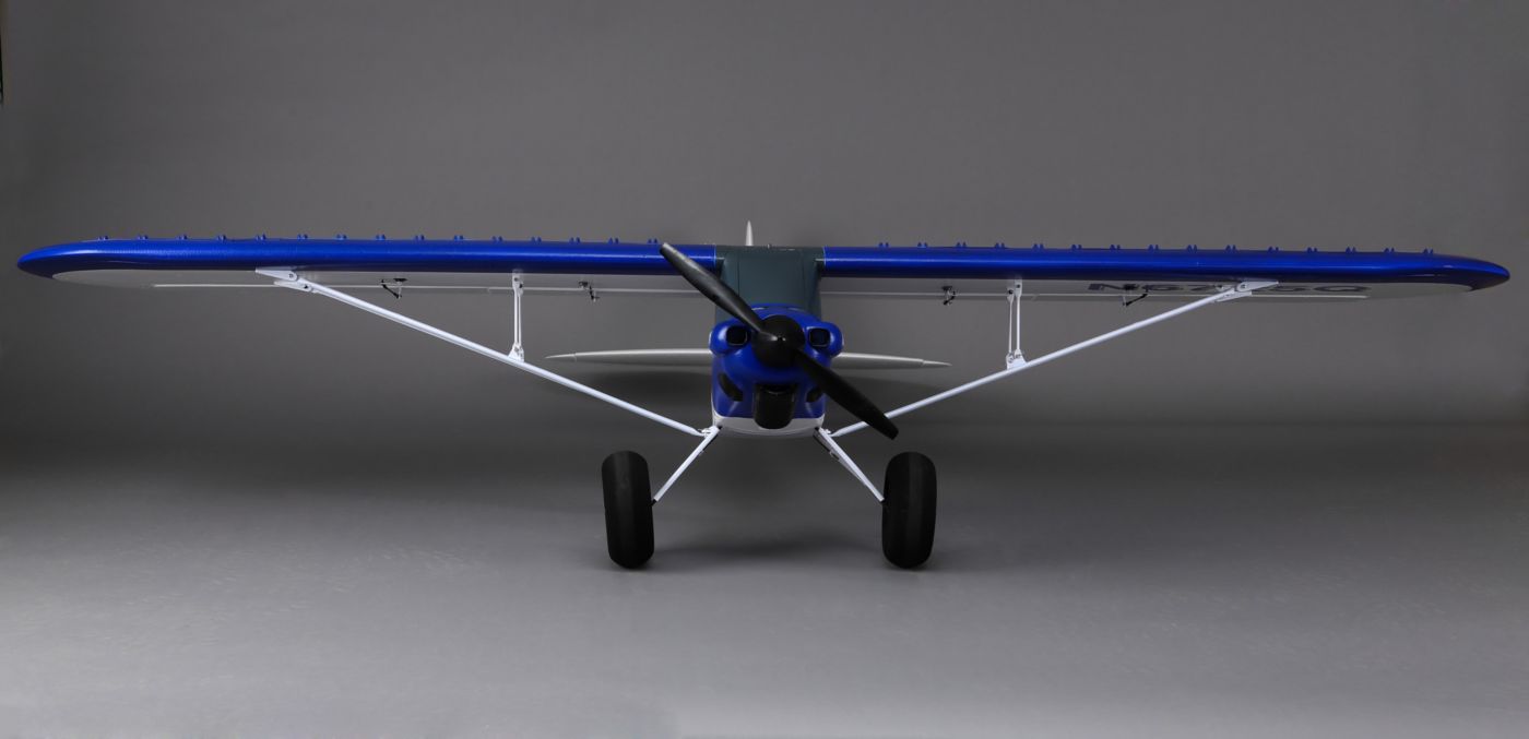 Carbon-Z Cub E-flite