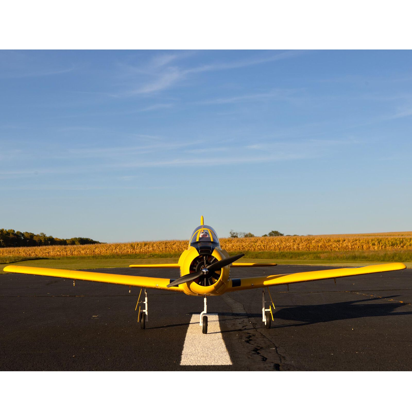 Carbon-Z T-28 Trojan E-flite
