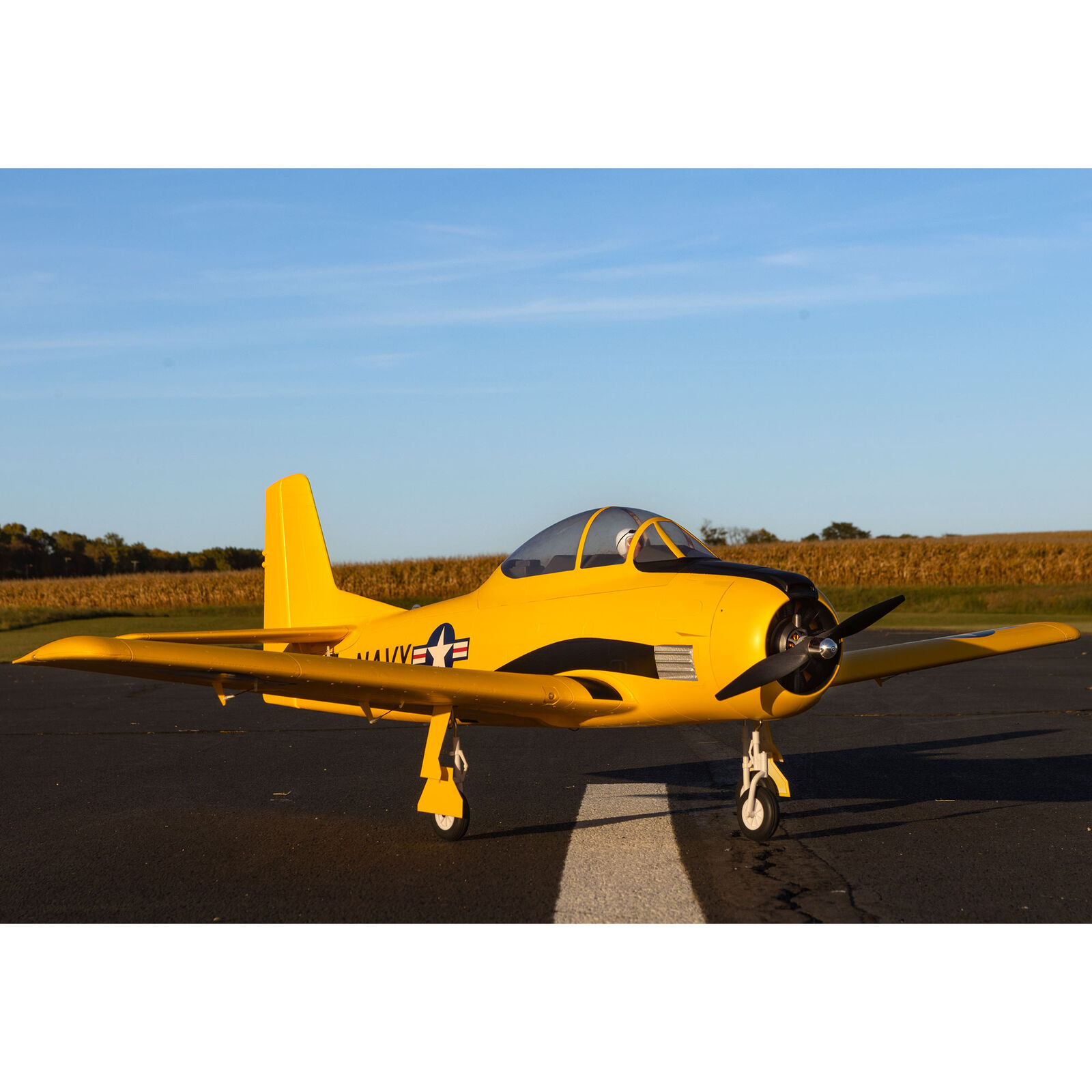 Carbon-Z T-28 Trojan E-flite
