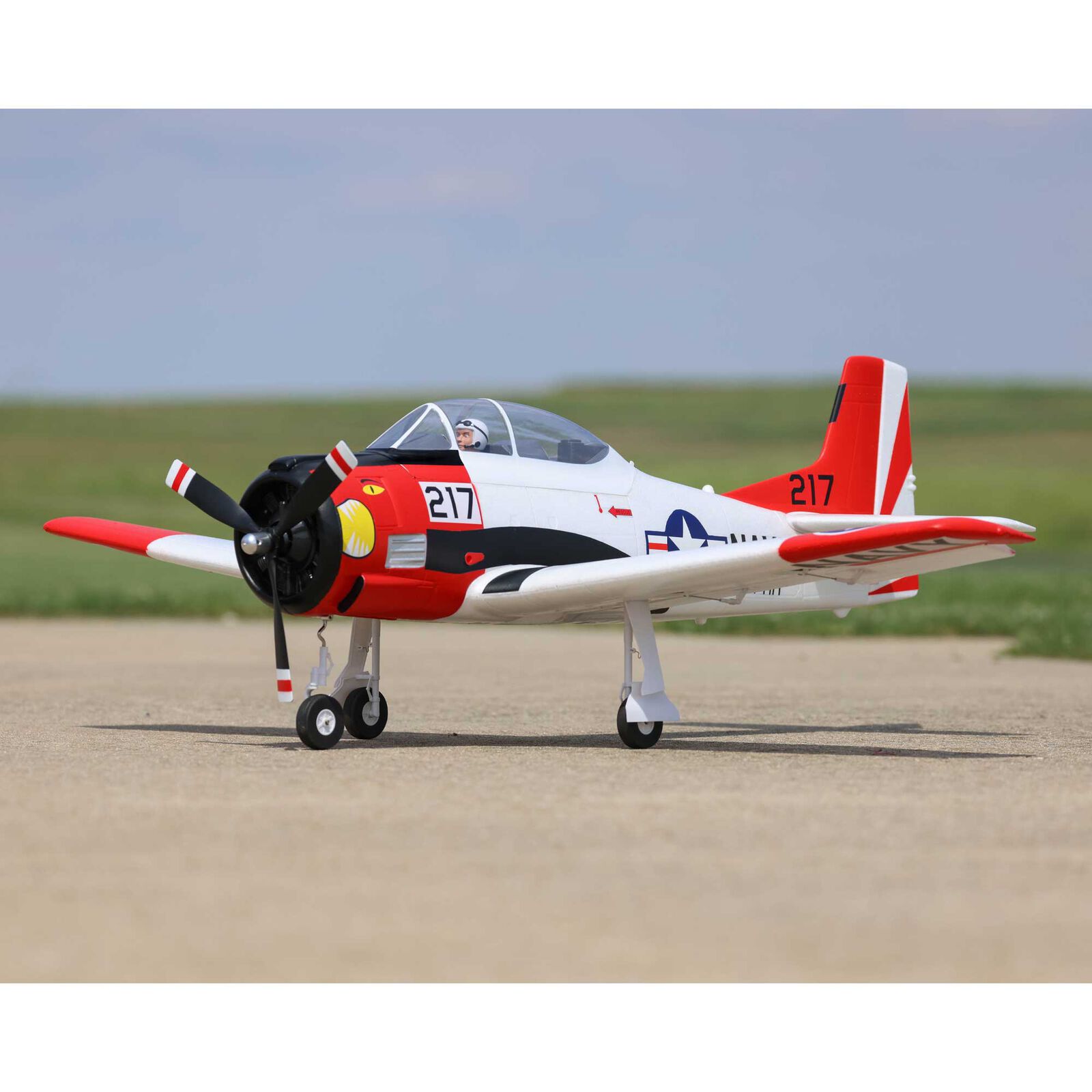 T-28 Trokan 1.2m E-flite