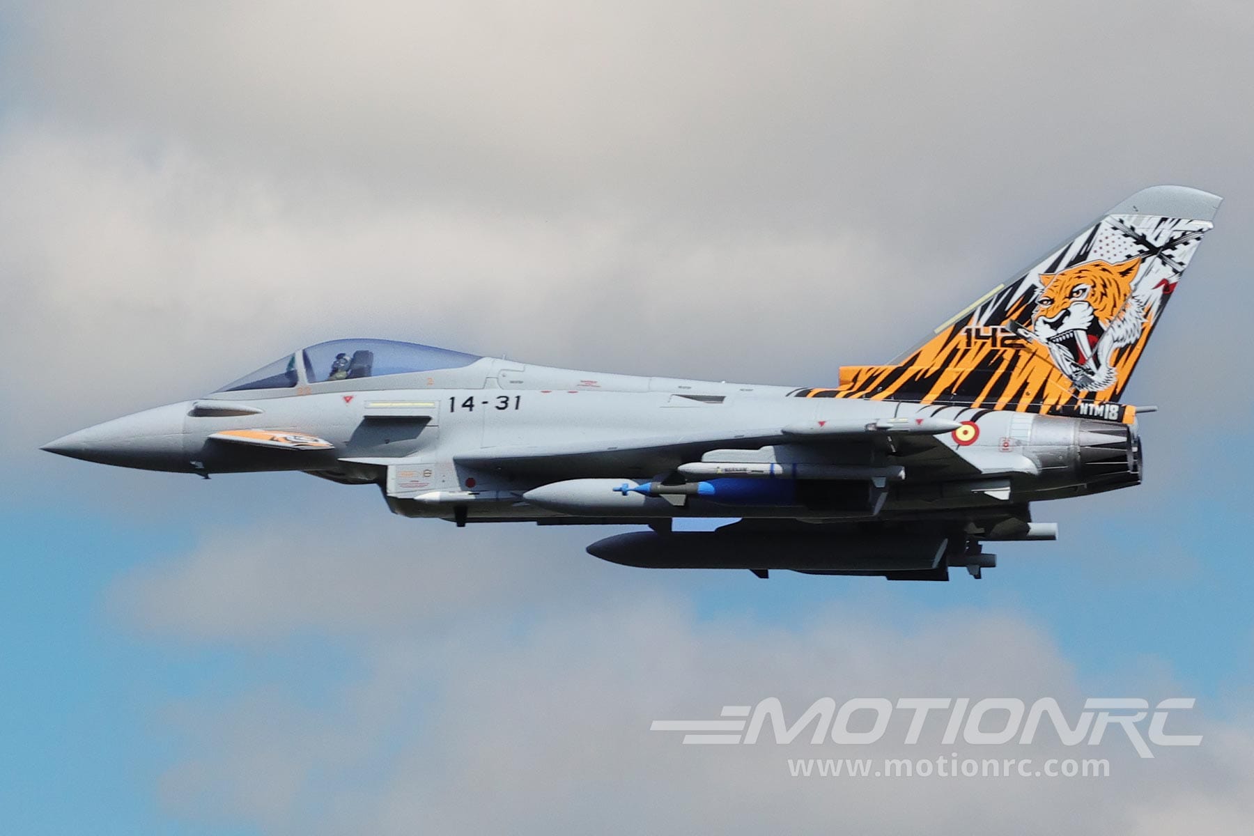 Eurofighter Typhoon 6S 90mm V2 Freewing Model