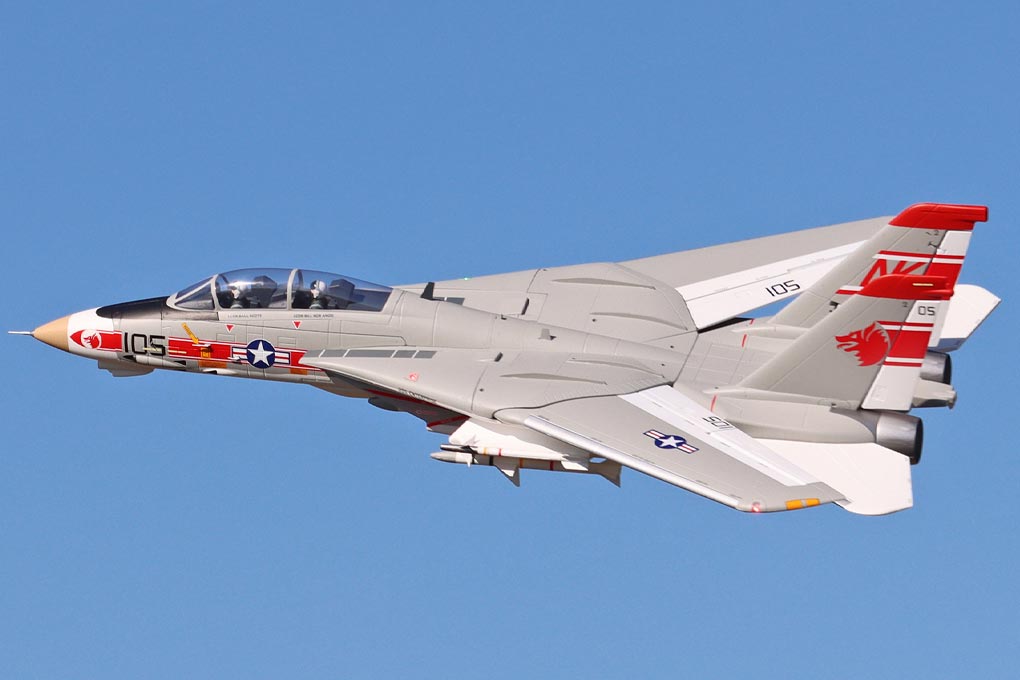 F-14 Tomcat Twin V2 64mm Freewing Model