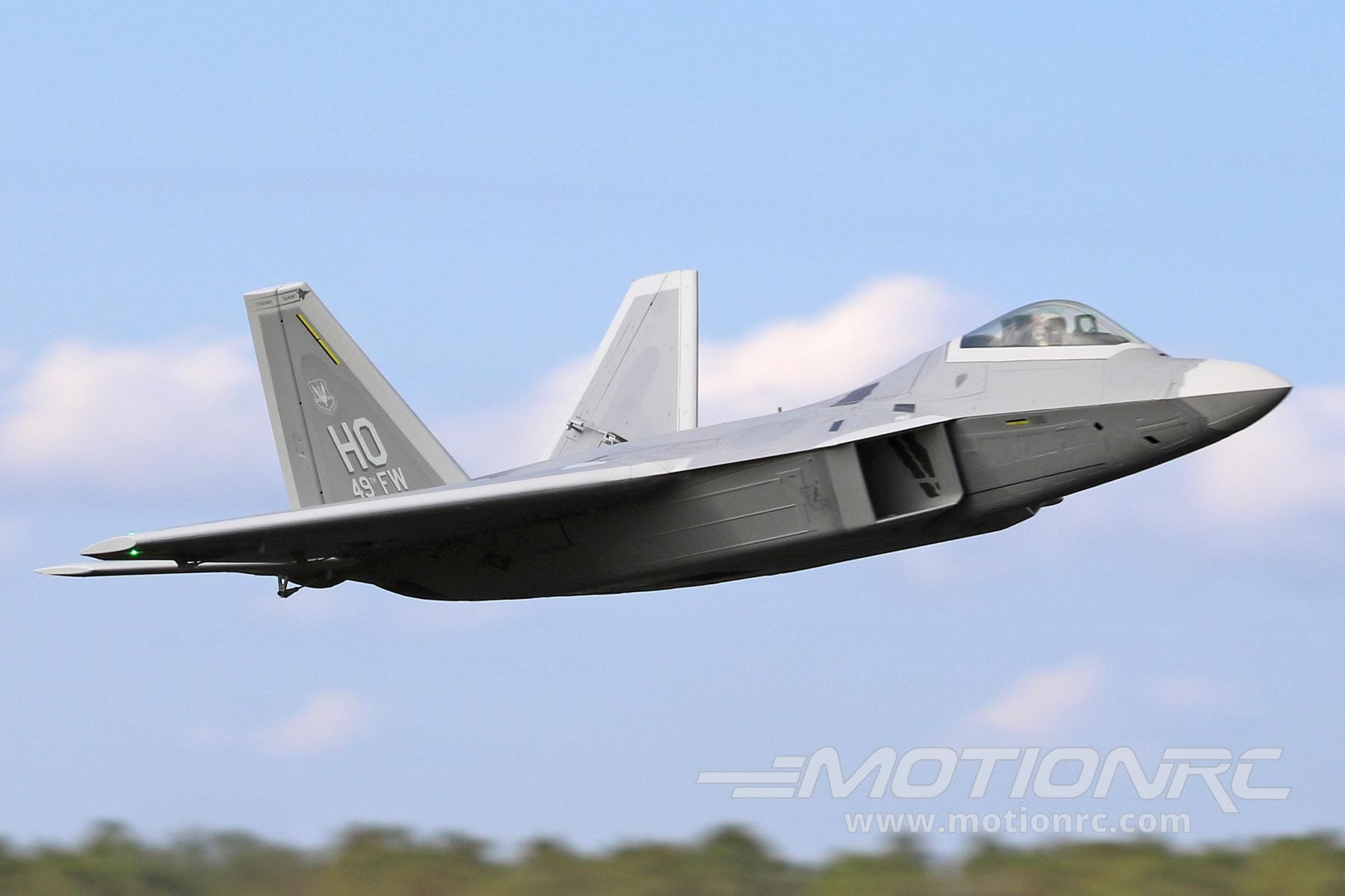 F-22 Raptor 80mm Freewing Model