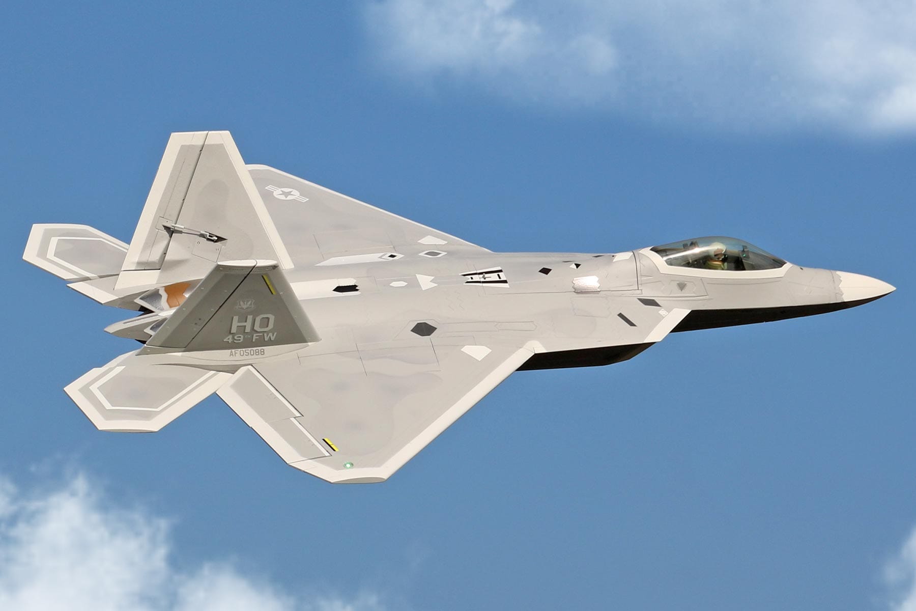 F-22 Raptor 80mm Freewing Model