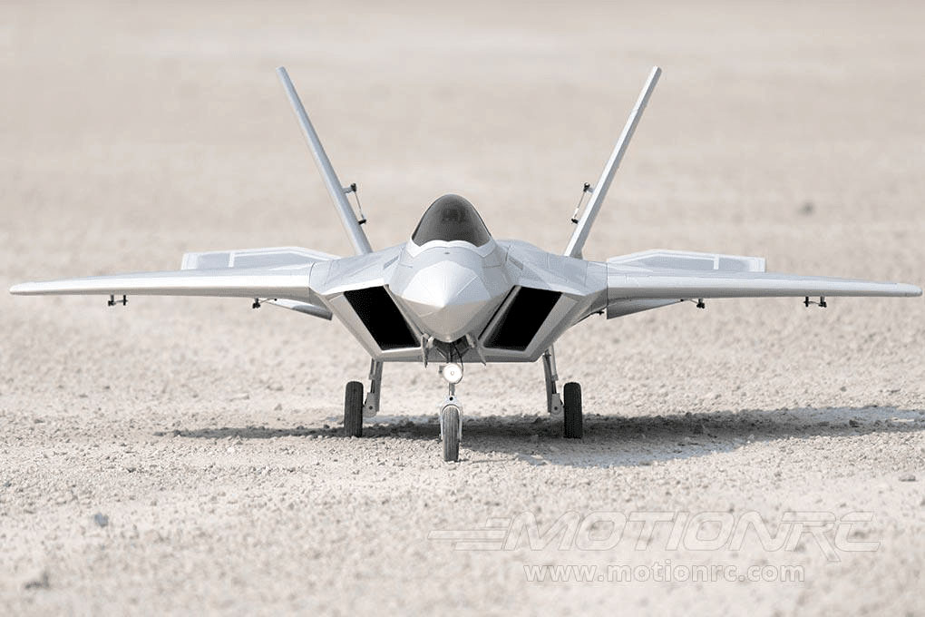 F-22 Raptor 90 mm Freewing Model