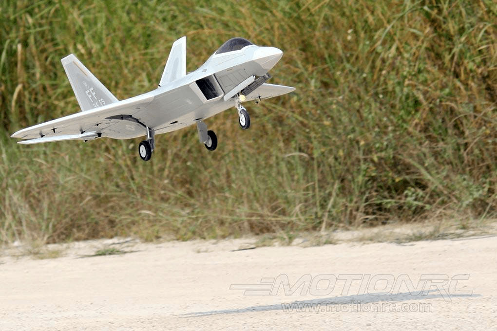 F-22 Raptor 90 mm Freewing Model