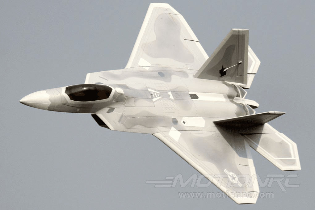 F-22 Raptor 90 mm Freewing Model