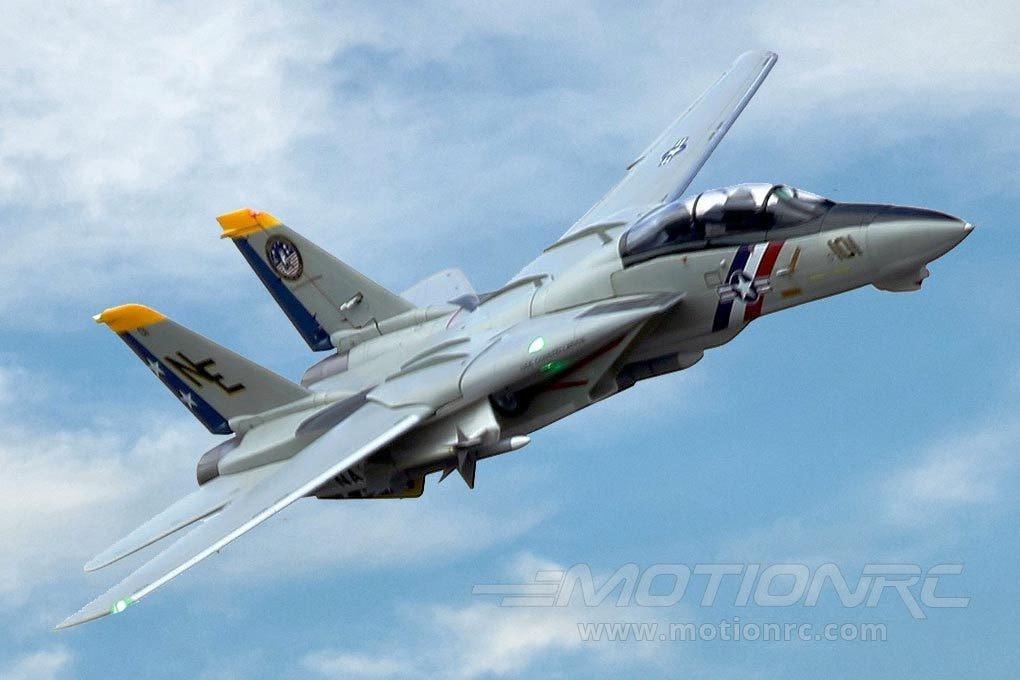 F-14 Tomcat Twin 80mm Freewing Model