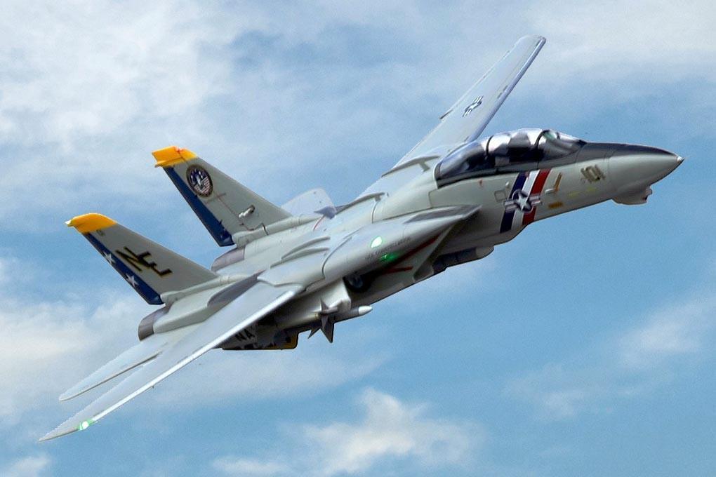 F-14 Tomcat Twin 80mm Freewing Model