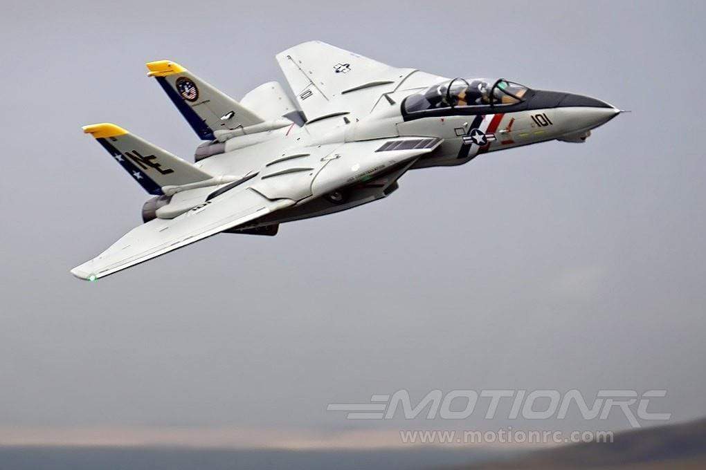 F-14 Tomcat Twin 80mm Freewing Model