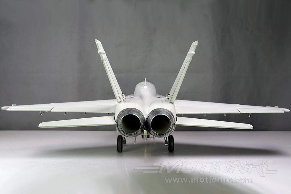 F/A-18C Hornet Gray Diamonds  Freewing Model