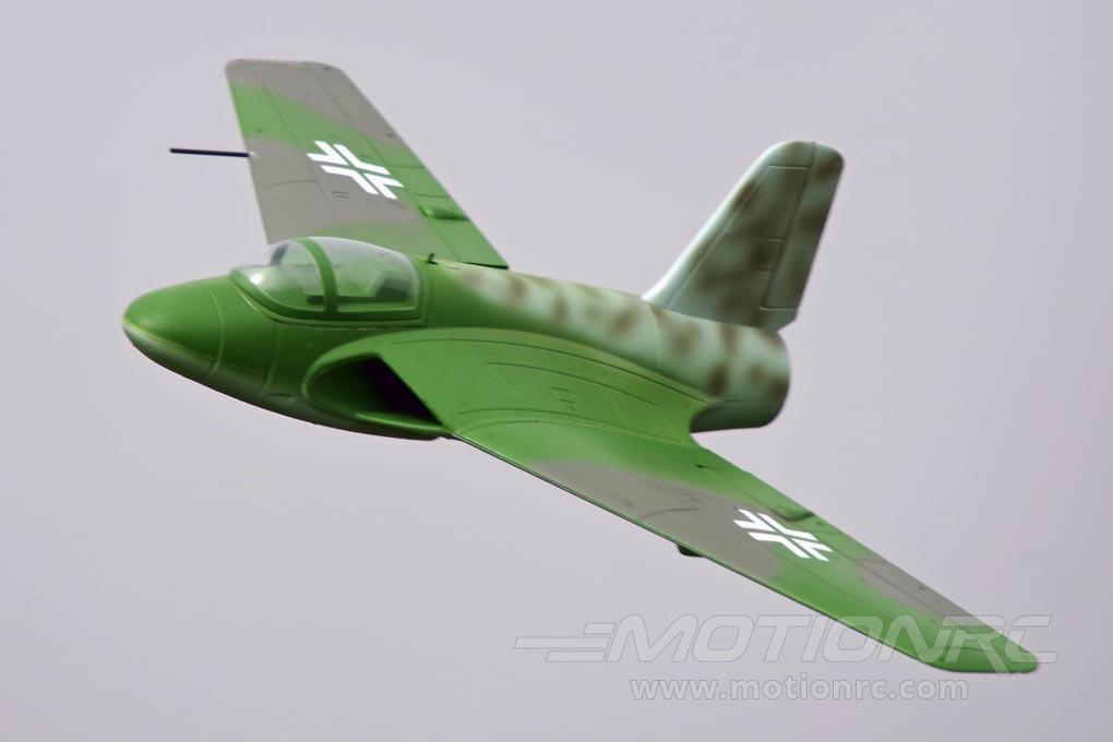 Lippisch P 15 Freewing Model