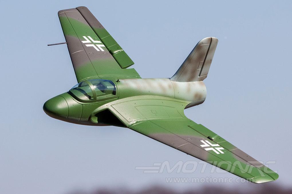 Lippisch P 15 Freewing Model