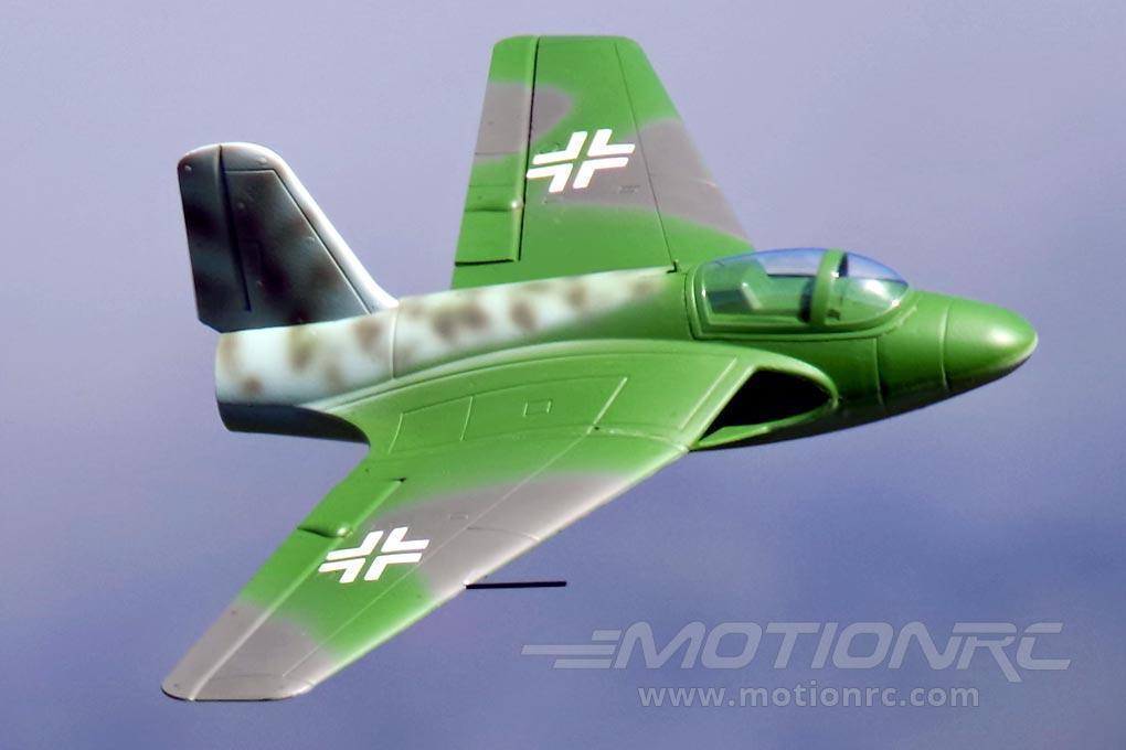 Lippisch P 15 Freewing Model