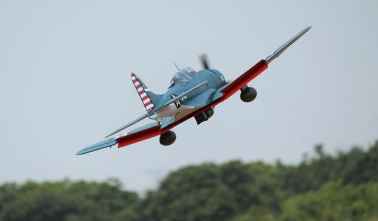 SBD-5 Dauntless Freewing Model