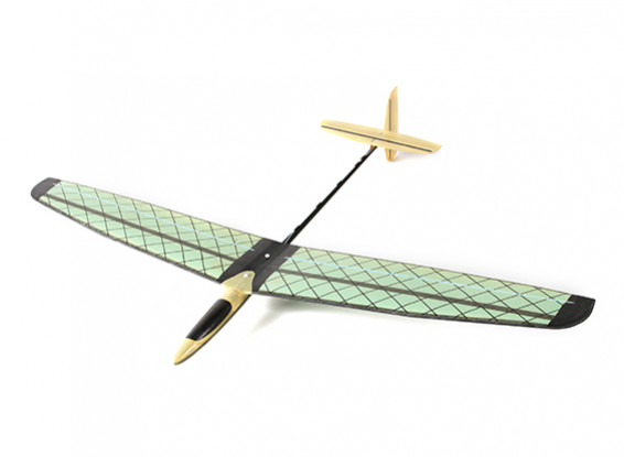 Mini DLG V2 HobbyKing