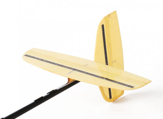 Mini DLG V2 HobbyKing