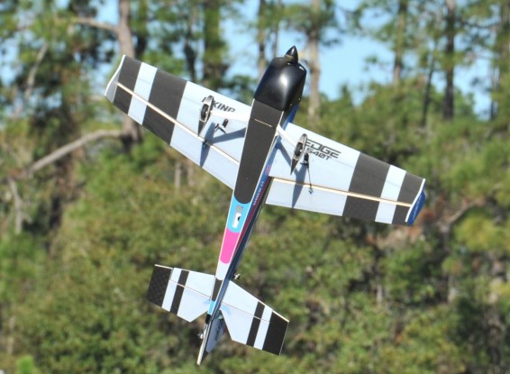 Wargo Signature Edge 540T HobbyKing