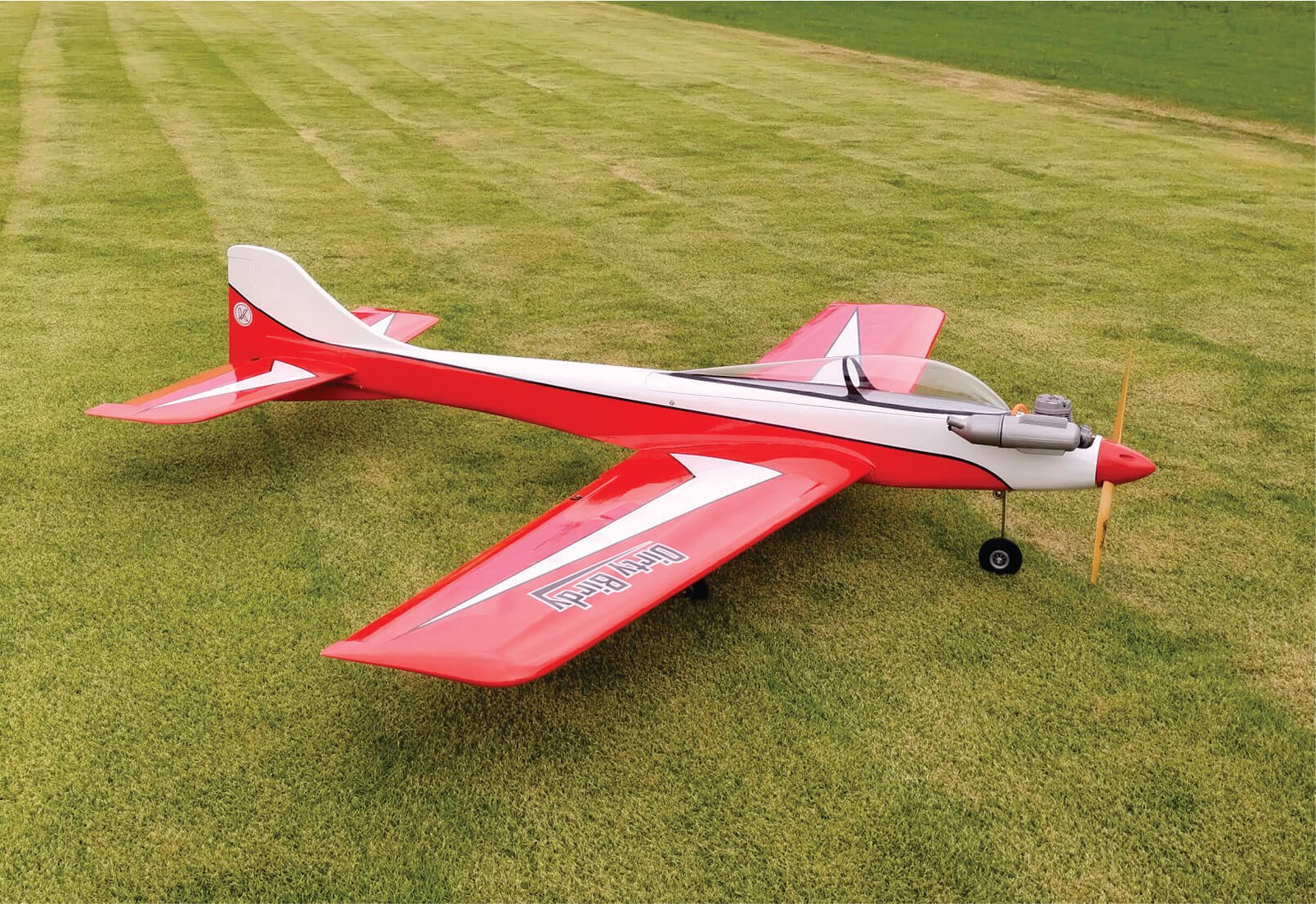 Dirty Birdy KYM RC MODELS