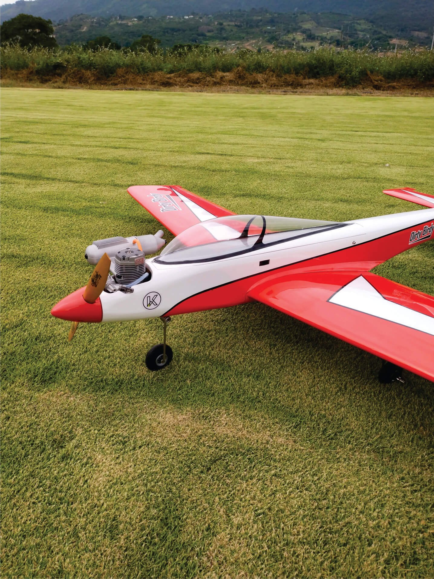 Dirty Birdy KYM RC MODELS