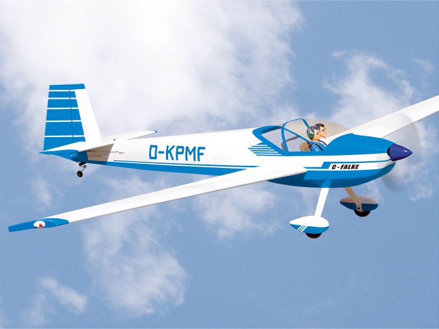 C-Falke SF25 PICHLER