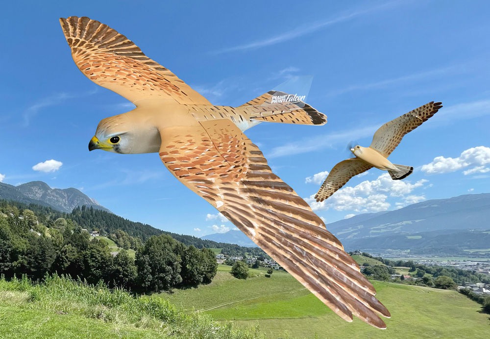Falcon PLANEPRINT