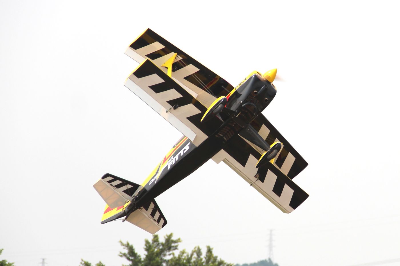 Pitts Challenger Pilot RC