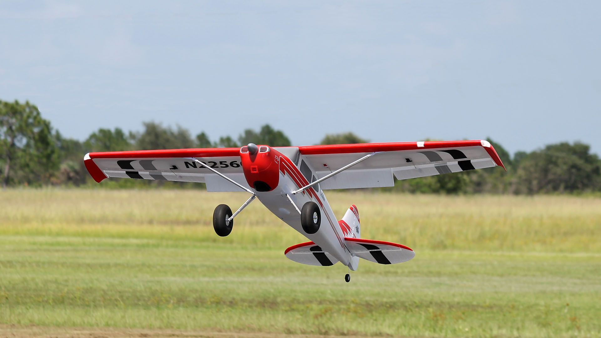 Cessna 170 Premier Aircraft