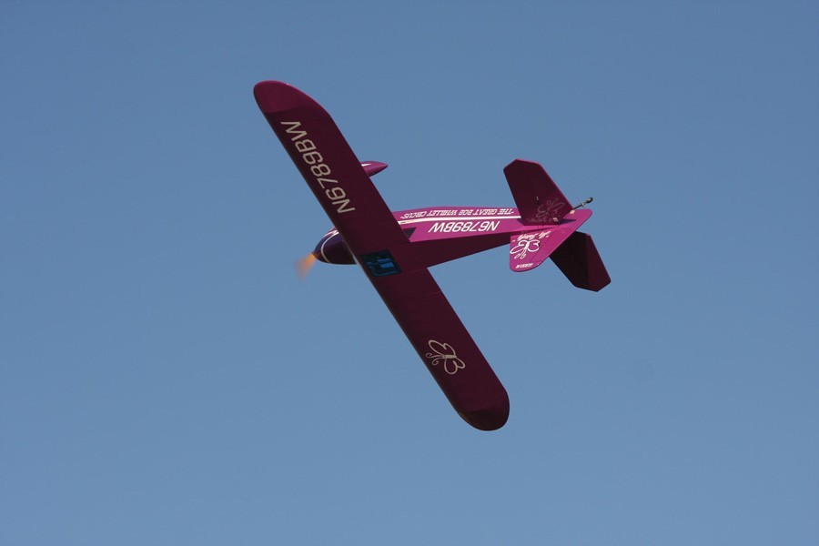 Rearwin Speedster Pro-TroniK