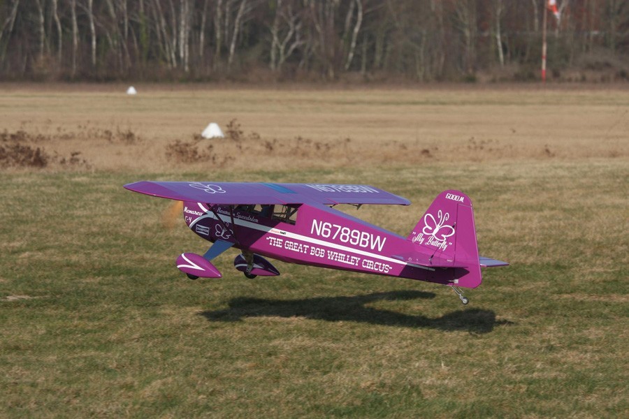 Rearwin Speedster Pro-TroniK