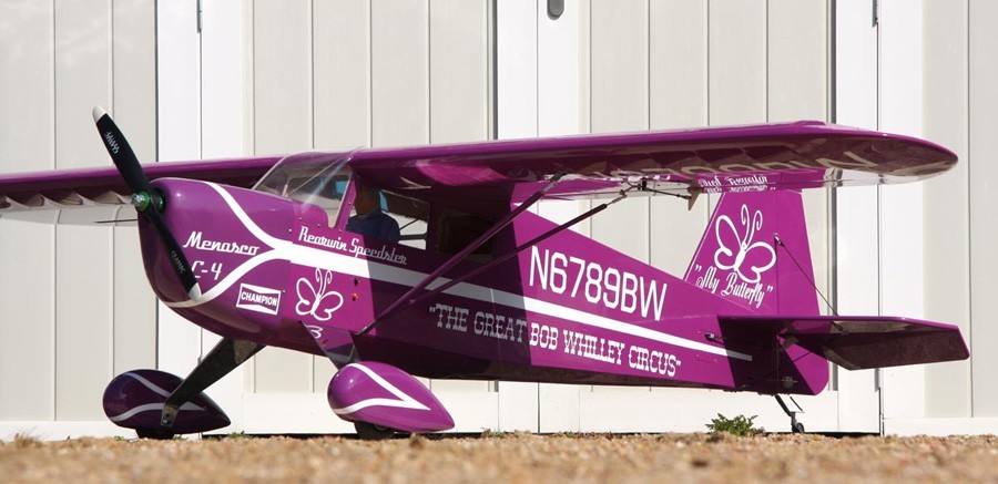 Rearwin Speedster Pro-TroniK