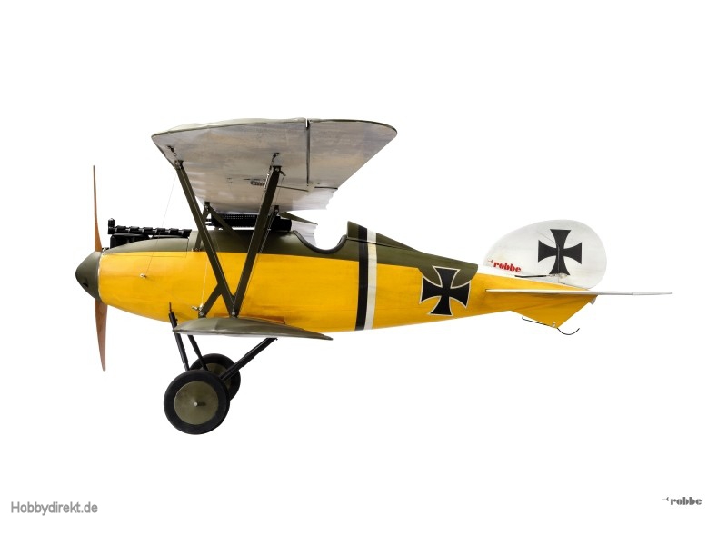 Albatros D.V Robbe