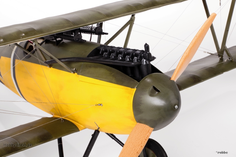 Albatros D.V Robbe