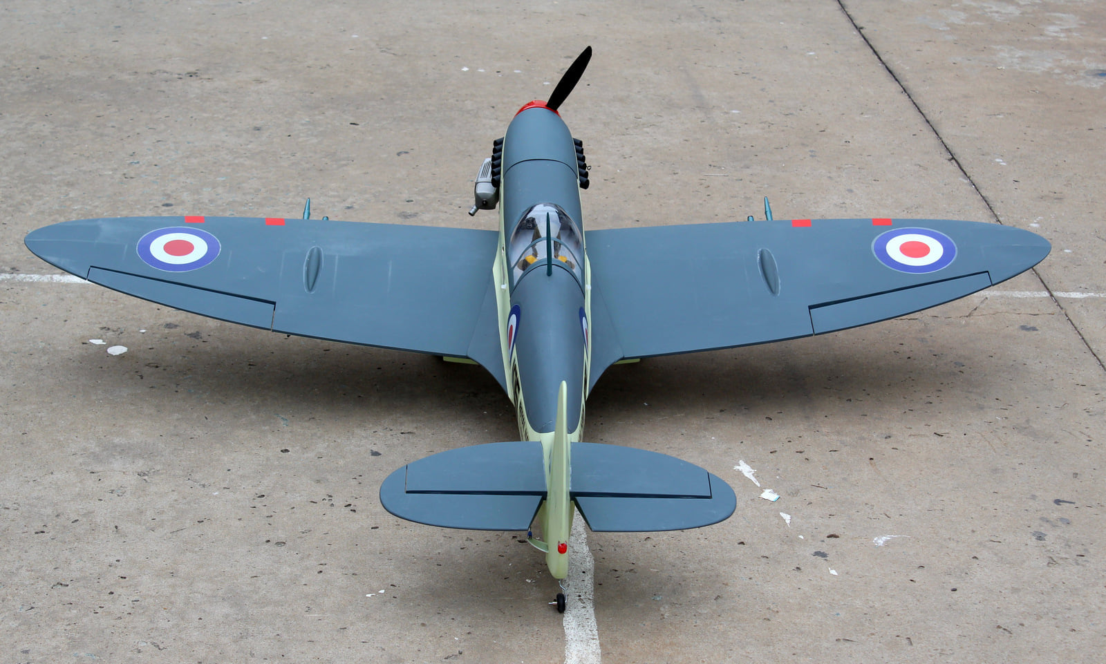 Supermarine Seafire 65 Seagull Models