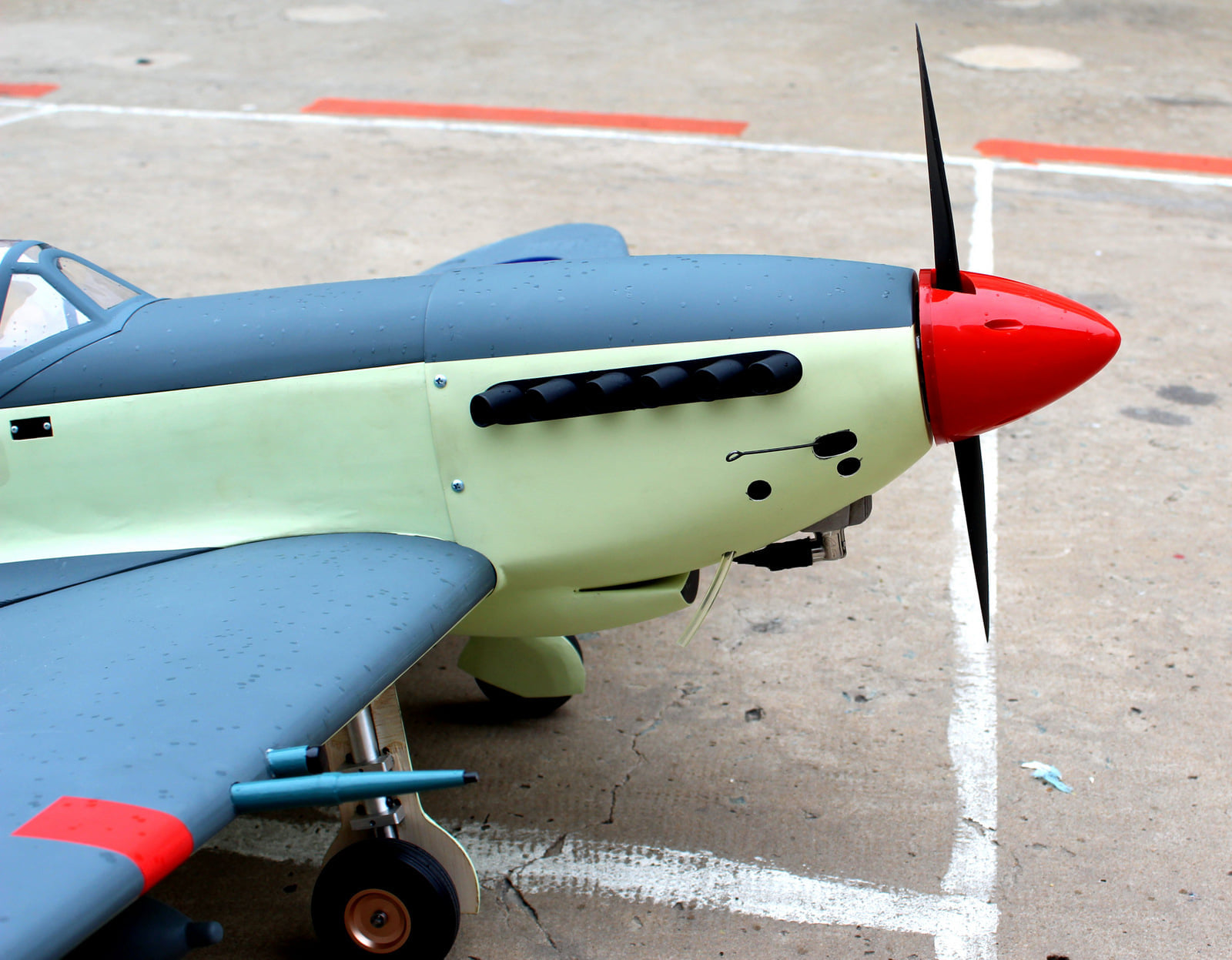 Supermarine Seafire 65 Seagull Models