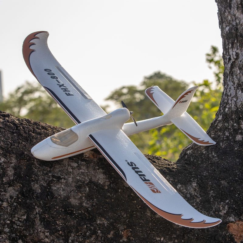 FHX-800 Easy Trainer fms