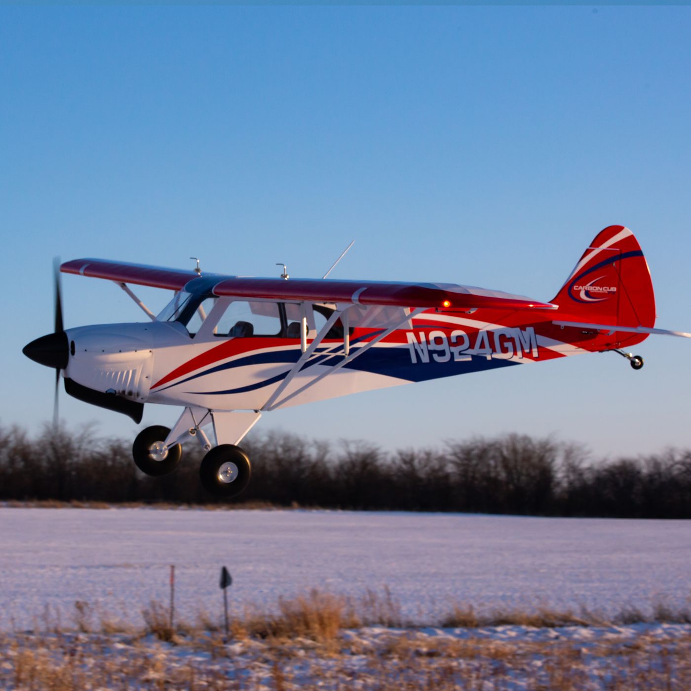 Carbon Cub FX-3 hangar 9